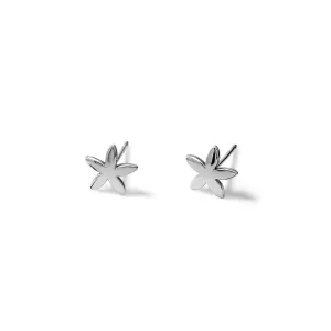 Estrela do Mar Small Earrings Silver