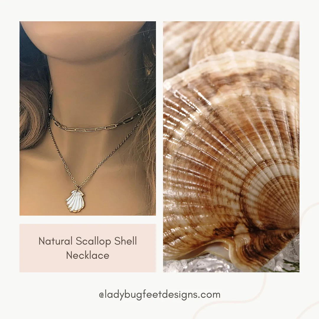 Natural Scallop Shell Necklace, 18- 24 inch