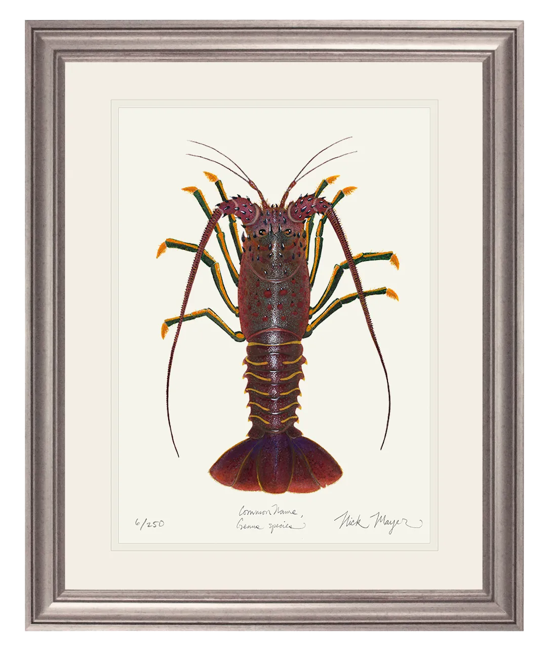 Spiny Lobster I Print