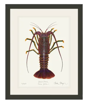 Spiny Lobster I Print